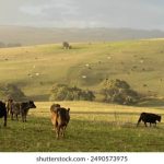 楪カレン サイン:探索她独特签名背后的故事与魅力 0jyyl6nv9j