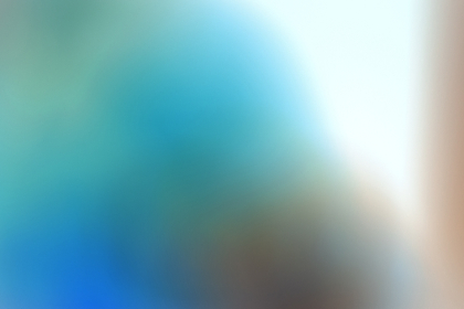 1ekd6