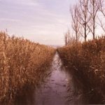 果汁导航。:探索全球各地美味果汁的最佳去处与推荐 2rag5q