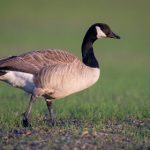 深入解析麻豆TV参数异常的多种原因及解决方案 47y43aeos0