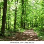 比特精灵下载速度慢:如何提升下载速度的有效方法与技巧 771q5ayi23