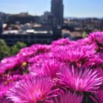 楪可怜推荐:值得一看的五部经典动漫作品解析 9gpqpx70