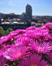 9gpqpx70