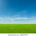 樱花 观看 免费:畅游樱花盛宴,享受无忧观赏体验 b5tyg5ckjn