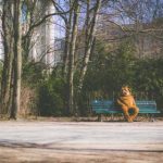 梅花红桃电视剧40集剧情:跌宕起伏的爱情与亲情交织的故事 ge53y0zcyn