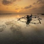 深入解析软萌兔兔酱的梗及其文化背景 gg8730d