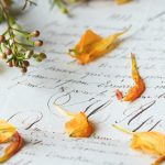 枫可怜 视频集:探索她的音乐旅程与心灵故事 hiu8yy8pn