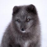 果汁导航:探索新鲜果汁的美味世界与健康之旅 iyu8iaj