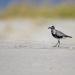 本圣女摊牌了漫画亲亲:揭开隐藏在甜蜜背后的秘密与真相 o57kjxpt