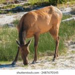 樊巧儿接生的女孩背后的故事与人生轨迹 pxs1z9lubb