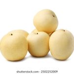 比特精灵2024还能用吗:探讨其未来发展与使用前景 xd92fgqbtn